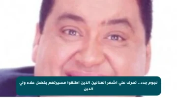 نجوم جدد.. تعرف على أشهر الفنانين الذين أطلقوا مسيرتهم بفضل علاء ولي الدين